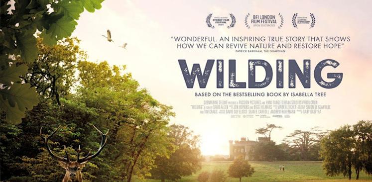 poster for Wilding